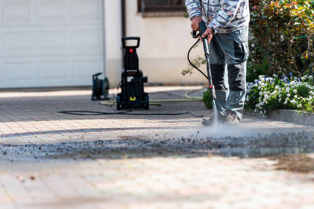 Best Pressure Washing Siding  in Beecher, MI