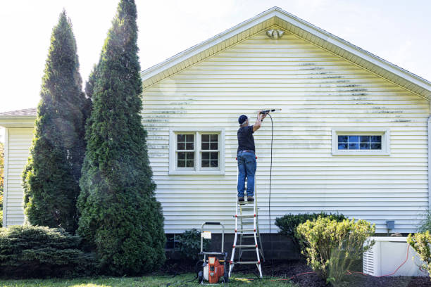 Best Sidewalk Pressure Washing  in Beecher, MI