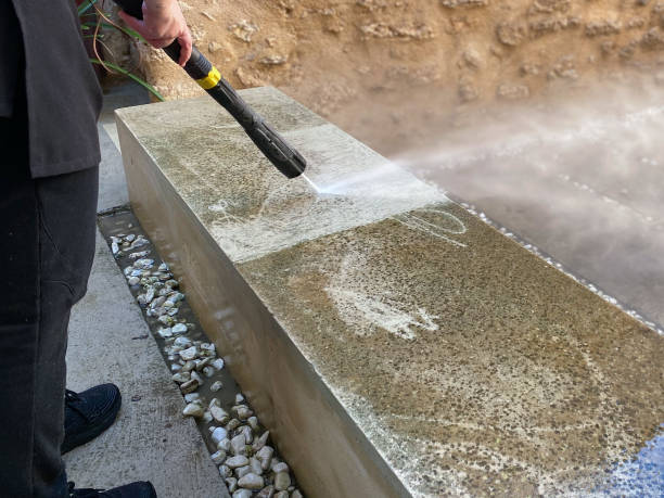 Best Pressure Washing Near Me  in Beecher, MI