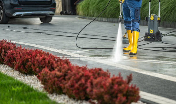 Best Roof Power Washing Services  in Beecher, MI