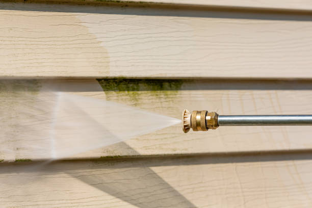 Best House Pressure Washing  in Beecher, MI