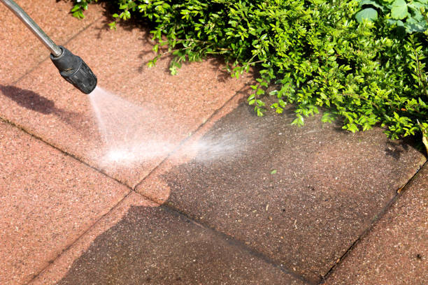 Best Best Pressure Washing Companies  in Beecher, MI