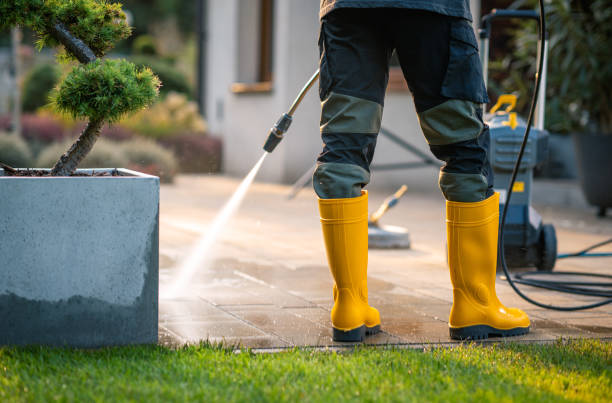 Local Pressure Washing Services in Beecher, MI
